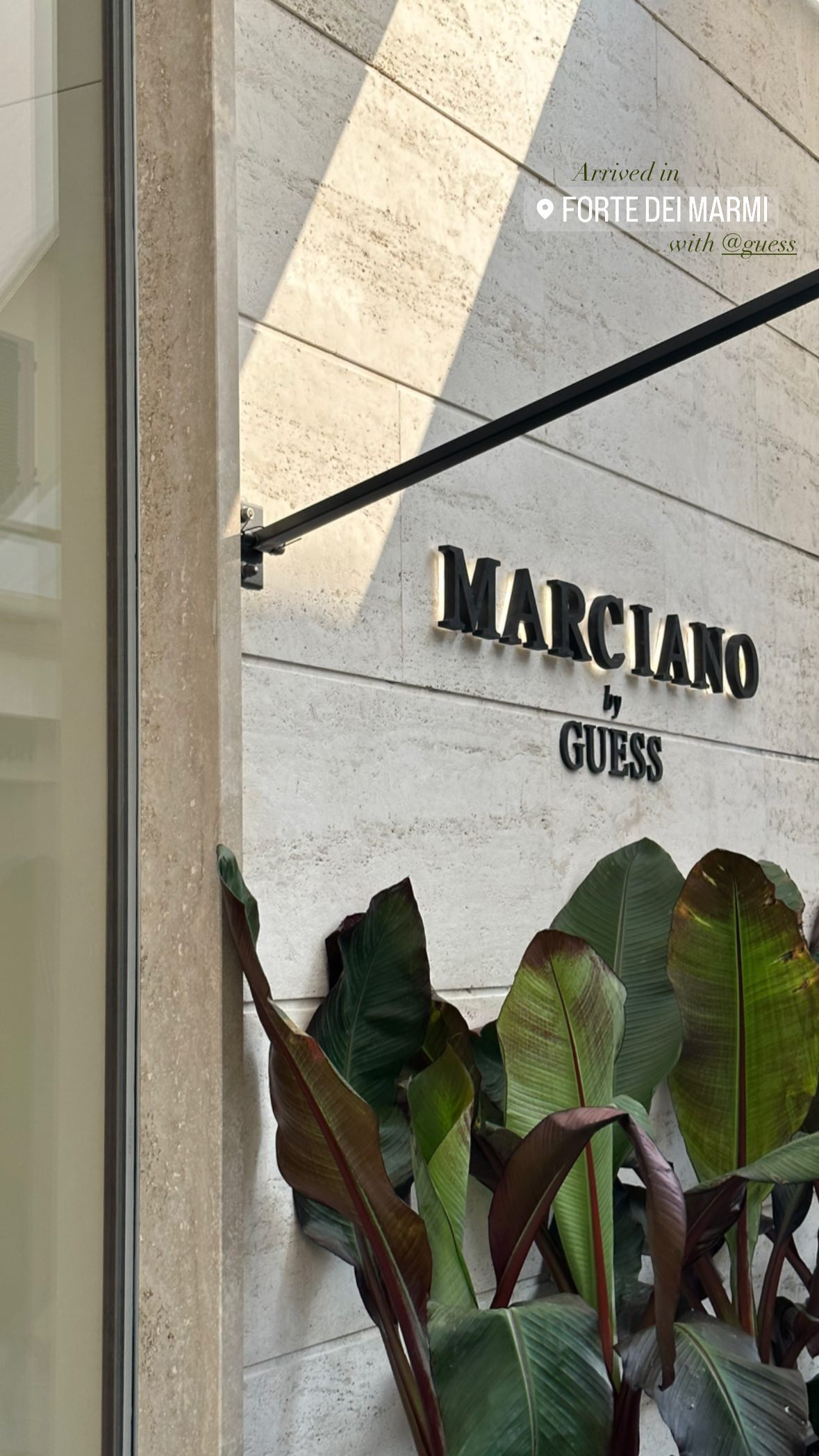 victoriaturnerr instagram image archive image