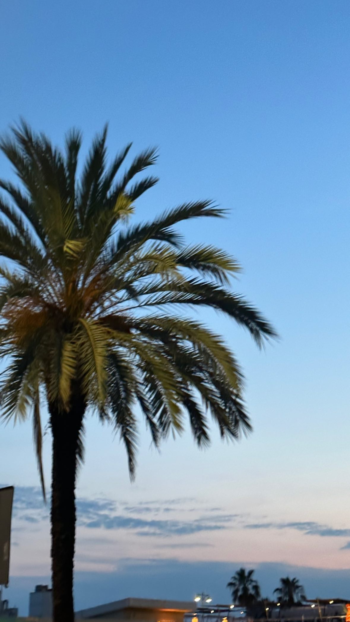 victoriaturnerr instagram image archive image