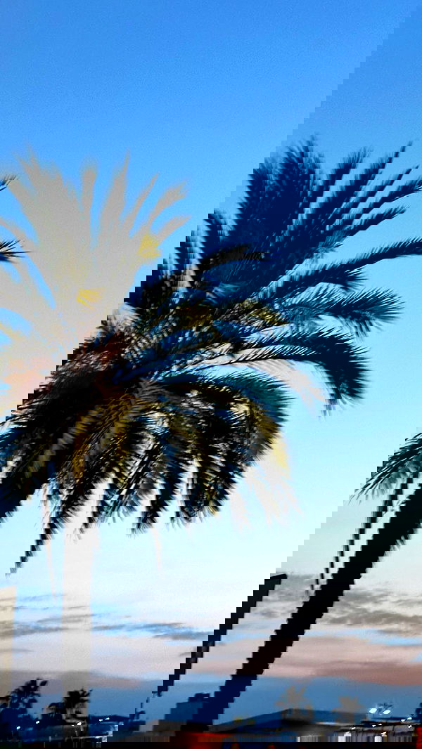 victoriaturnerr image ~ Altpins