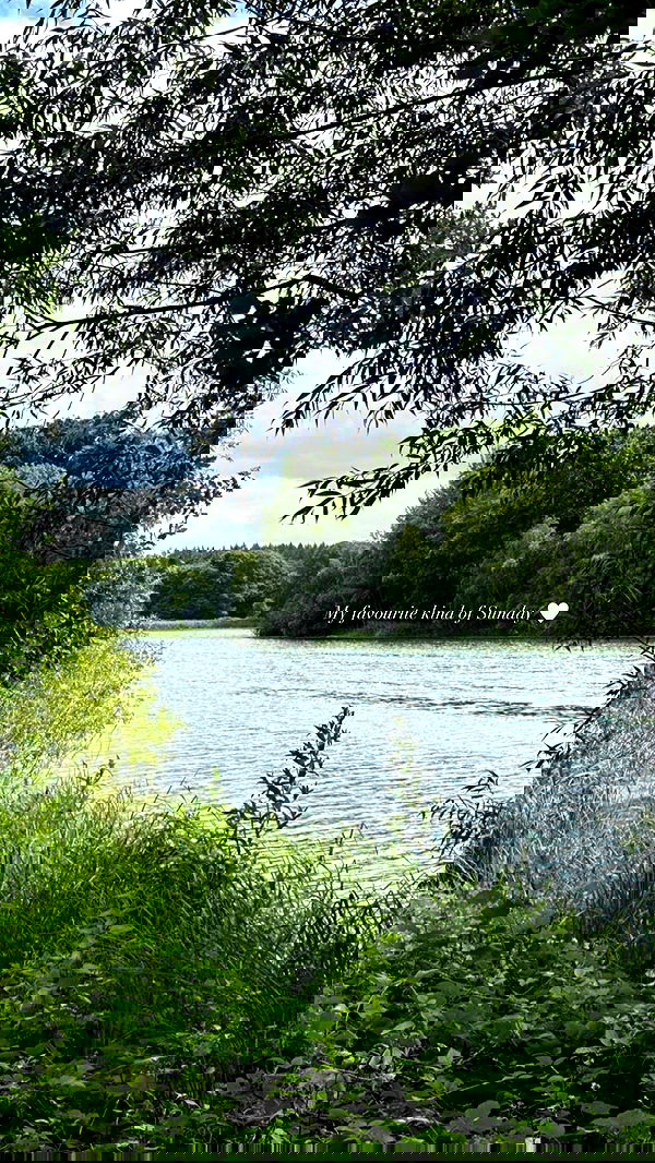 victoriaturnerr image ~ Altpins