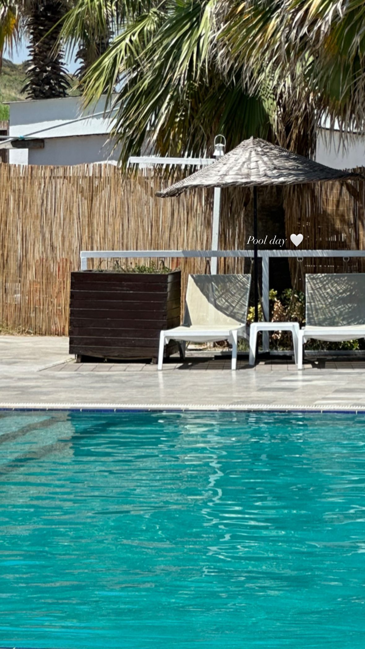 victoriaturnerr instagram image archive image