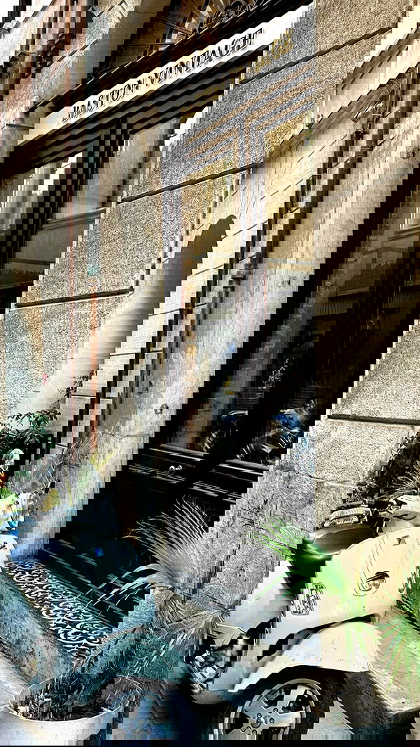 victoriaturnerr image ~ Altpins