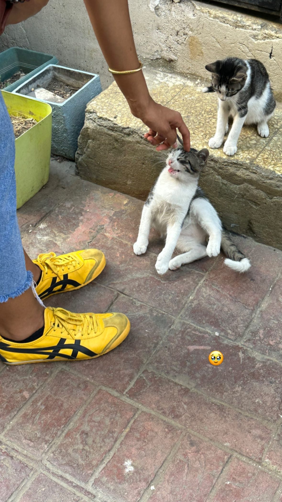 victoriaturnerr instagram image archive image