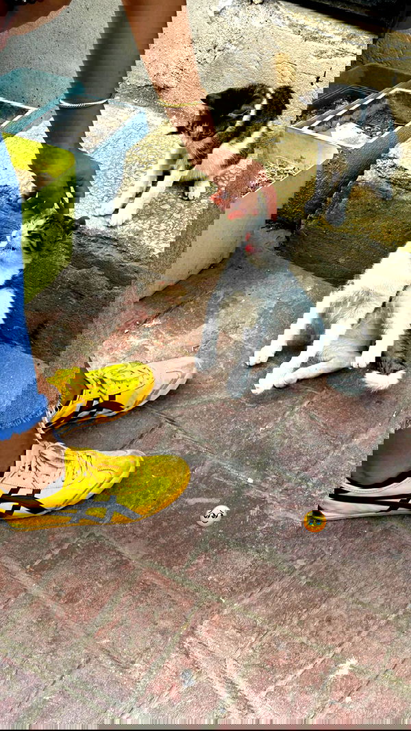 victoriaturnerr image ~ Altpins