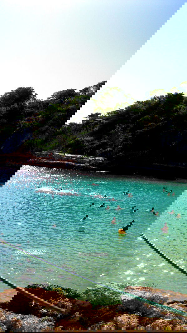 victoriaturnerr image ~ Altpins