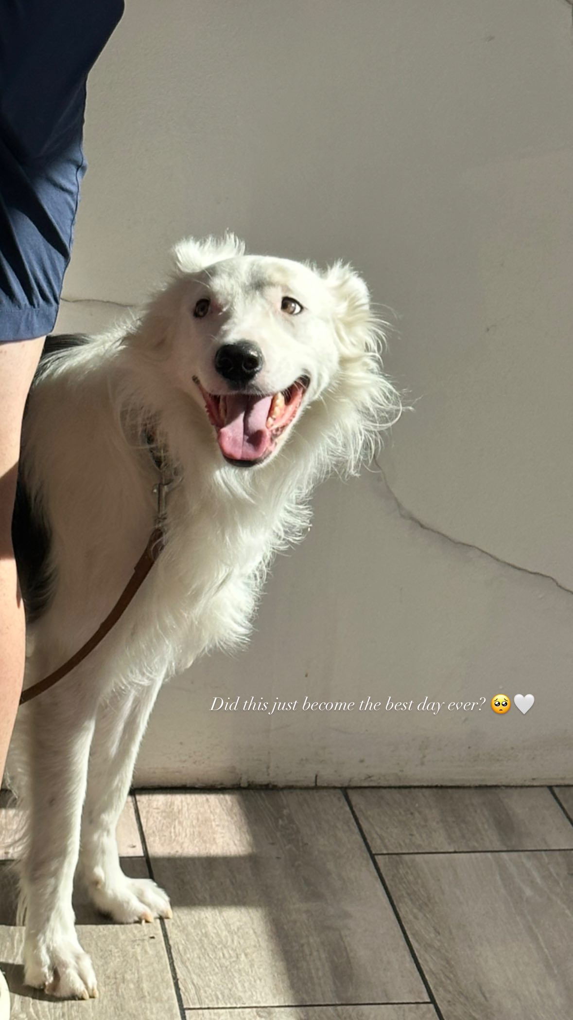 victoriaturnerr instagram image archive image