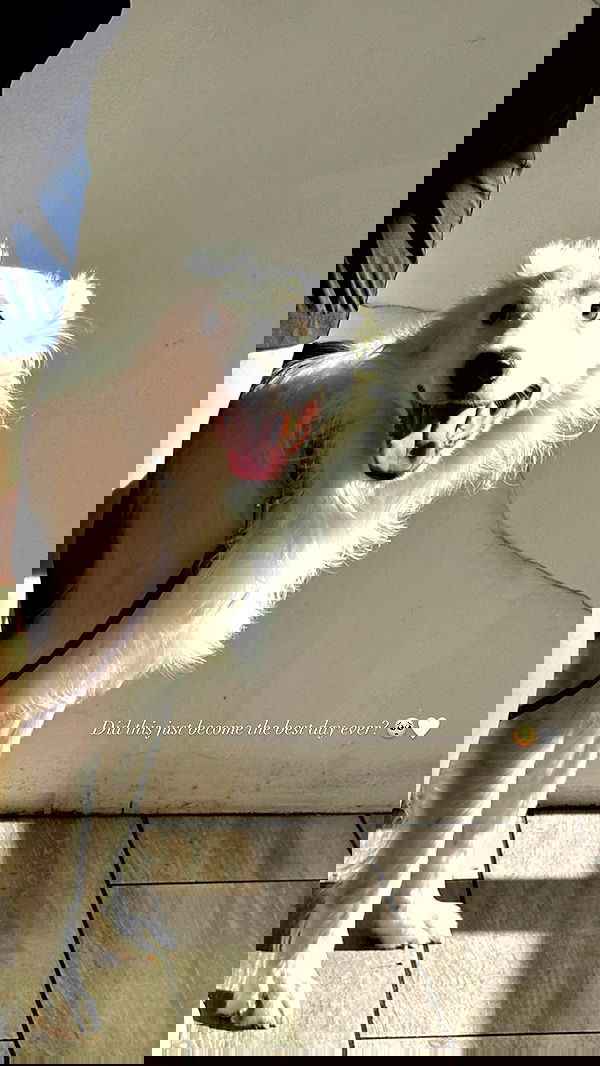 victoriaturnerr image ~ Altpins