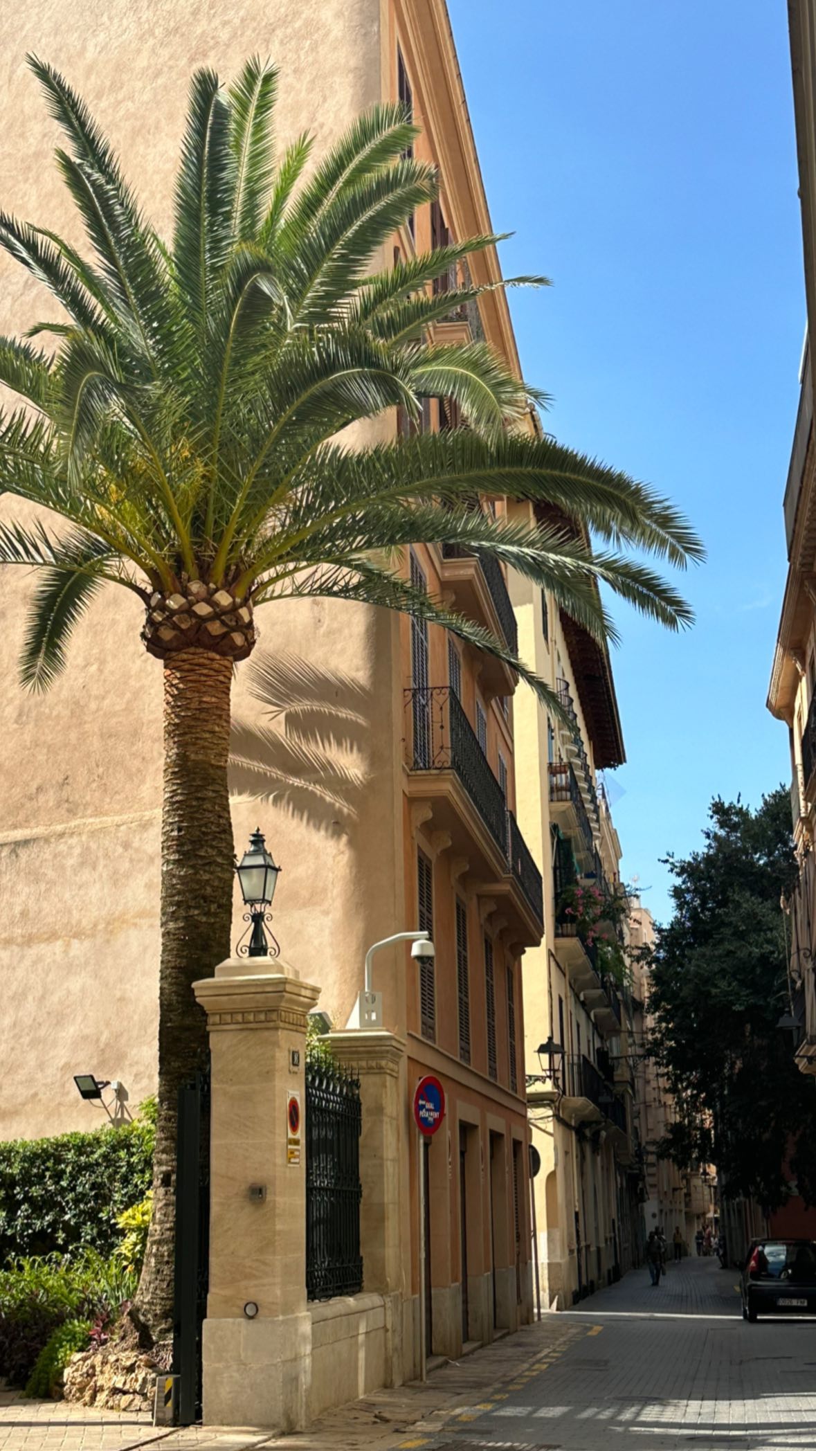 victoriaturnerr instagram image archive image