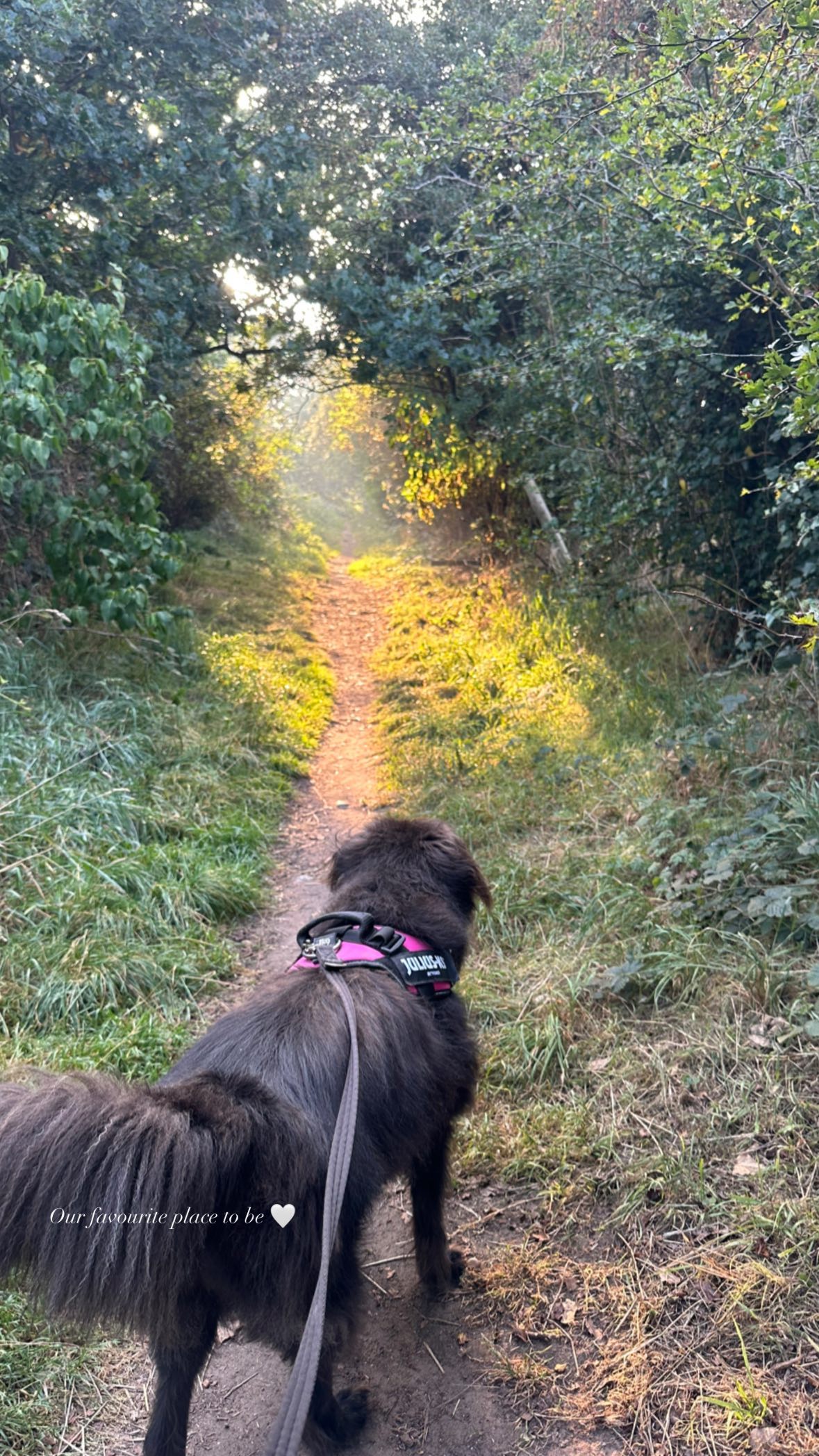 victoriaturnerr instagram image archive image