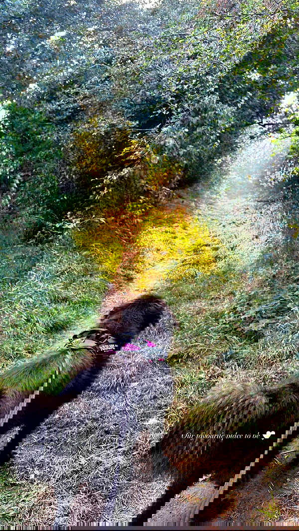 victoriaturnerr image ~ Altpins