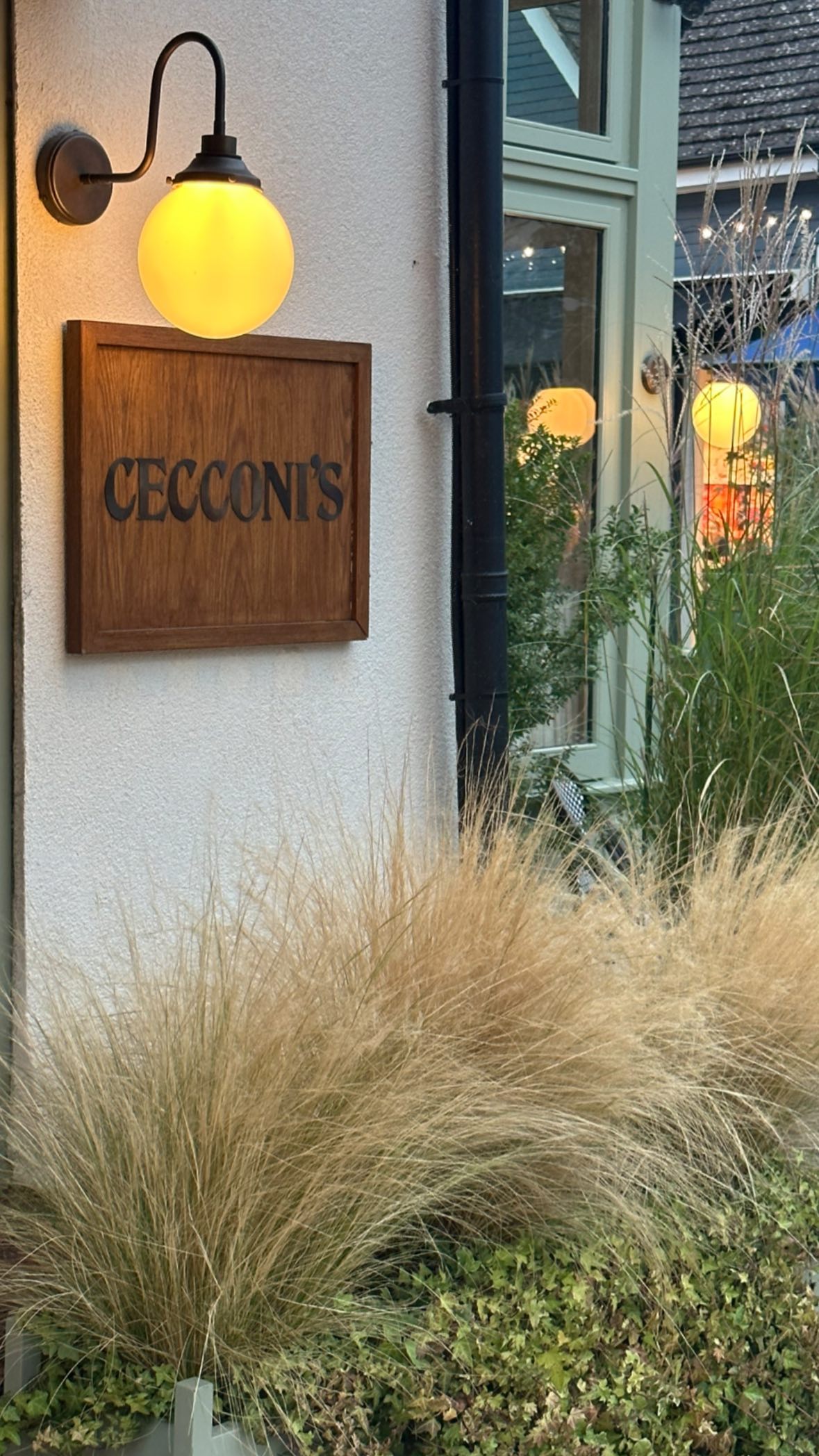 victoriaturnerr instagram image archive image