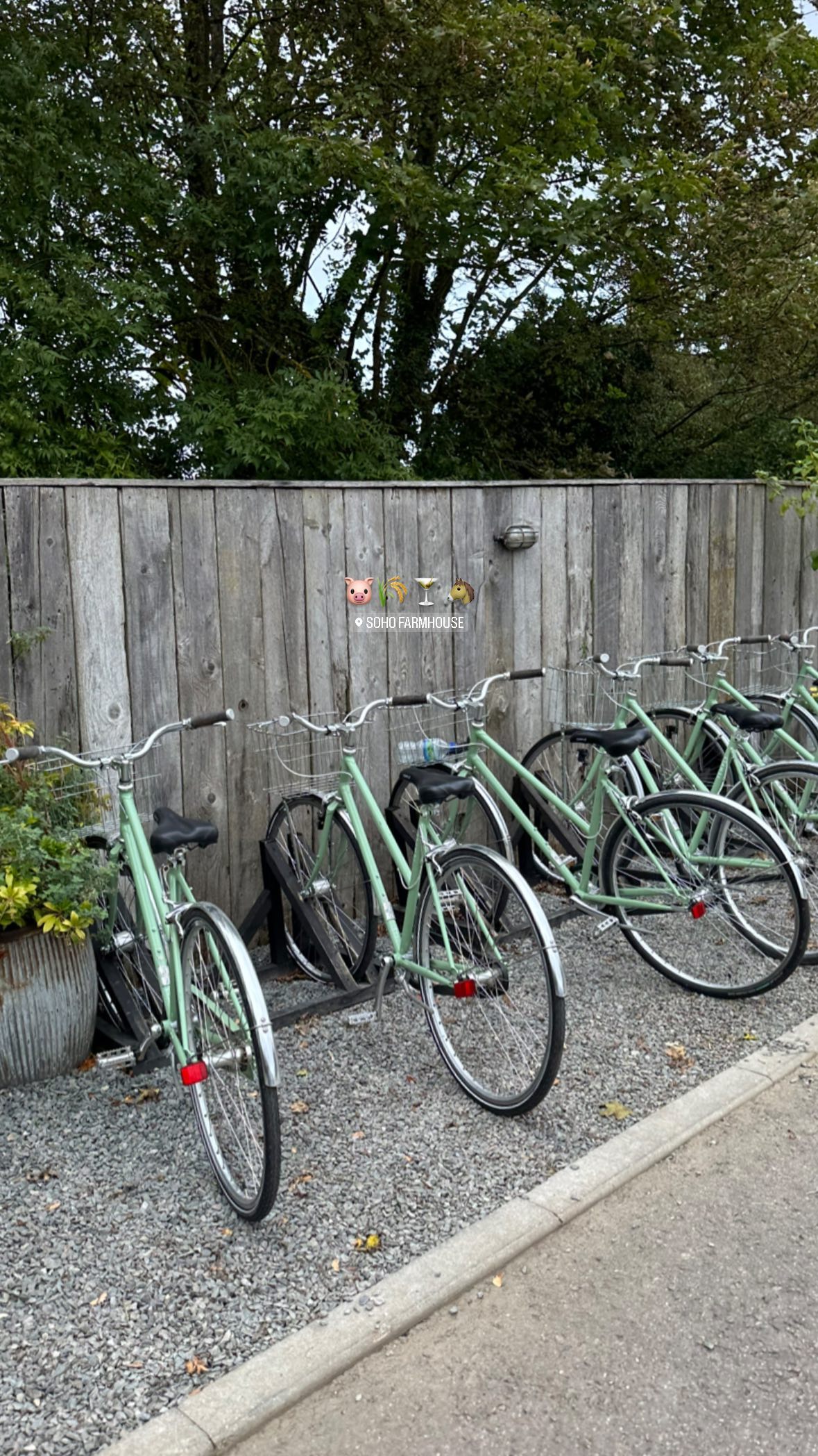 victoriaturnerr instagram image archive image