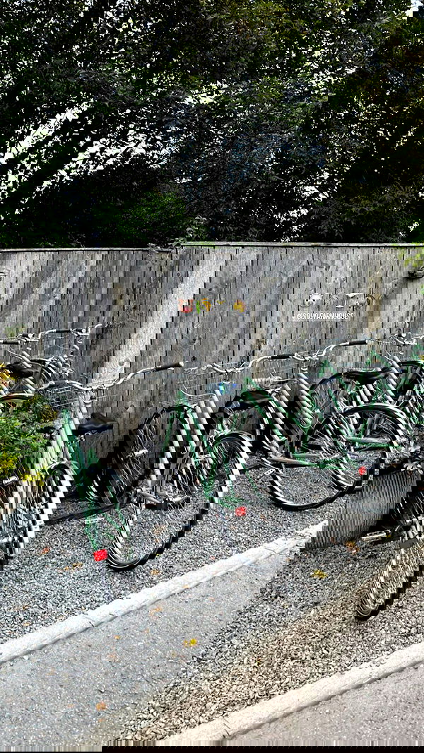 victoriaturnerr image ~ Altpins