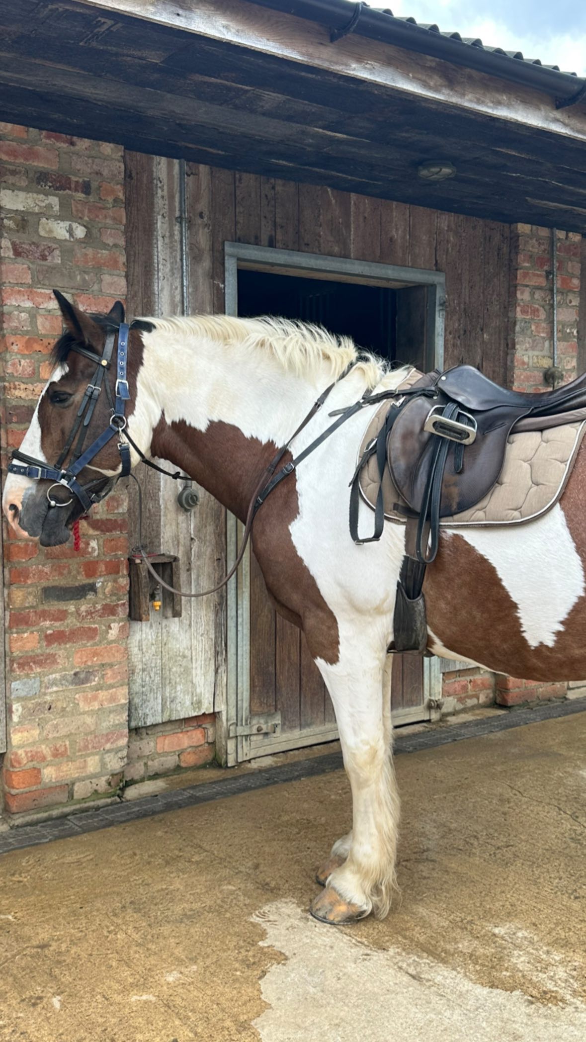 victoriaturnerr instagram image archive image