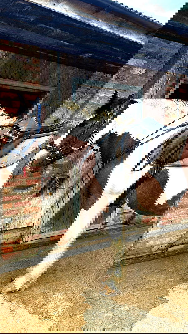 victoriaturnerr image ~ Altpins