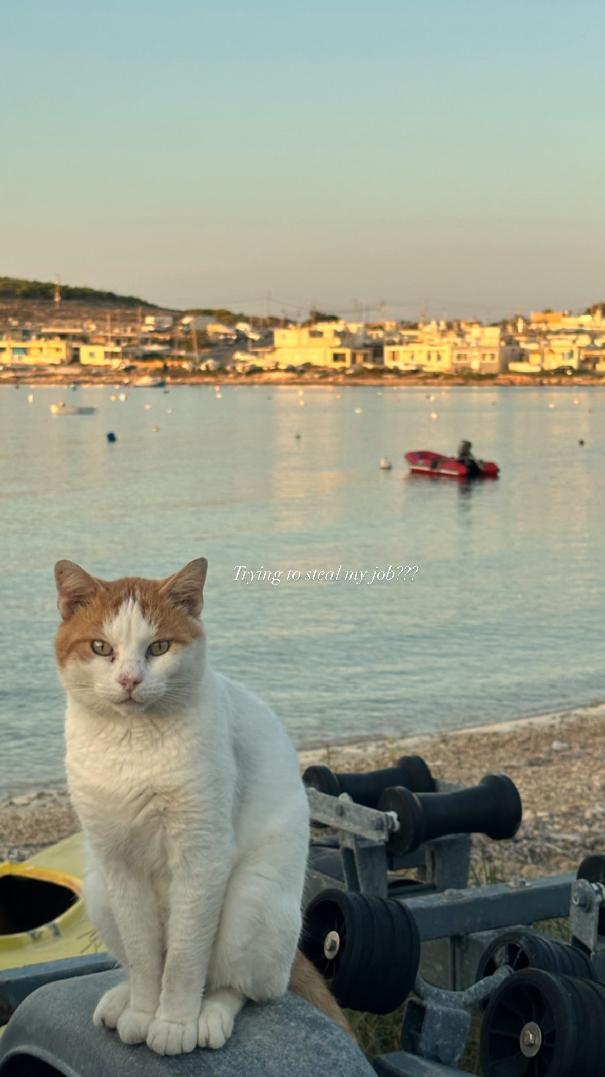 victoriaturnerr instagram image archive image