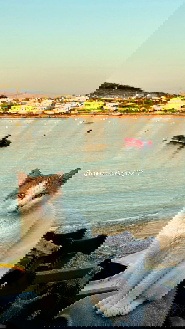 victoriaturnerr image ~ Altpins