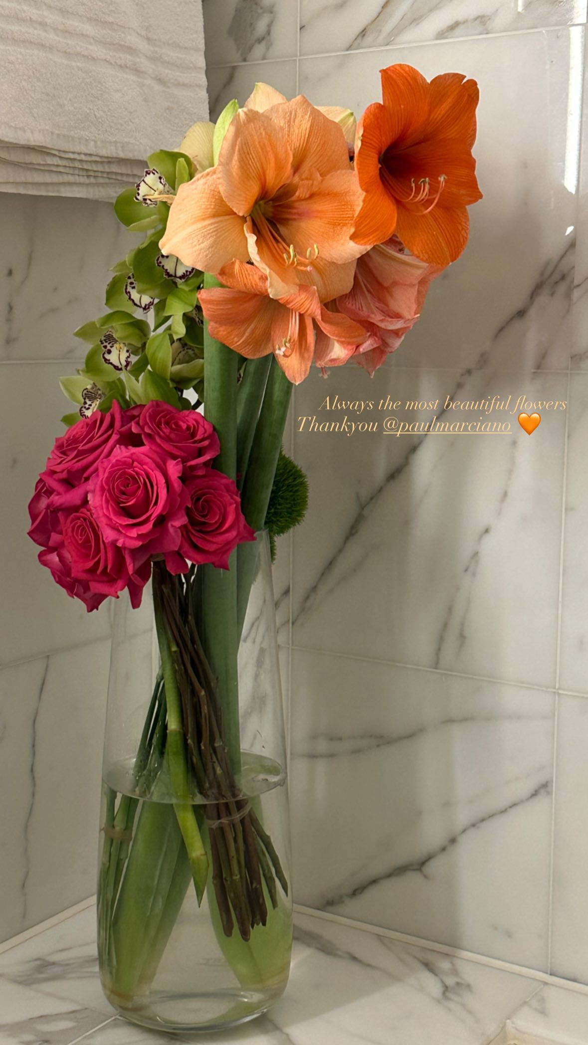 victoriaturnerr instagram image archive image