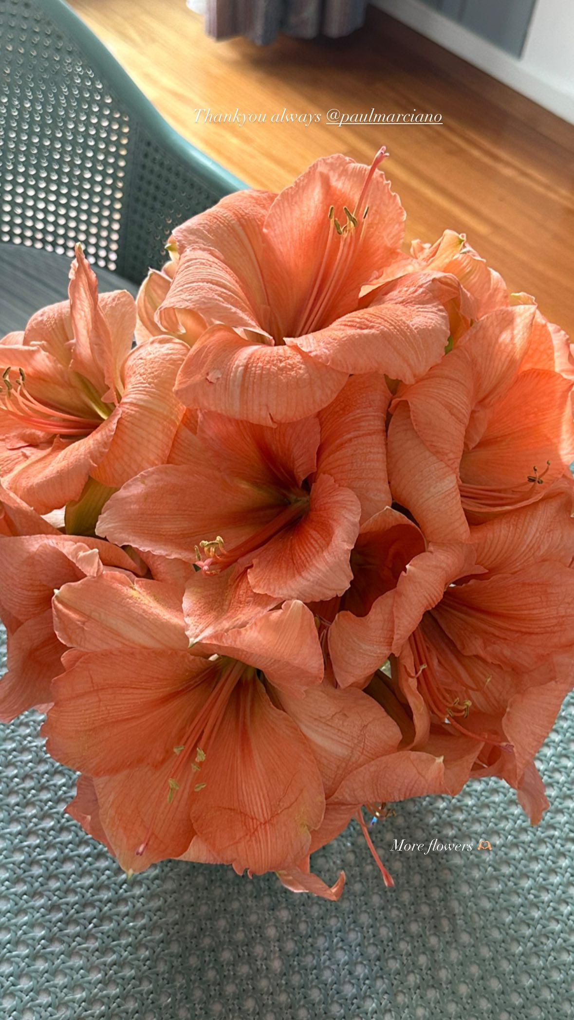 victoriaturnerr instagram image archive image