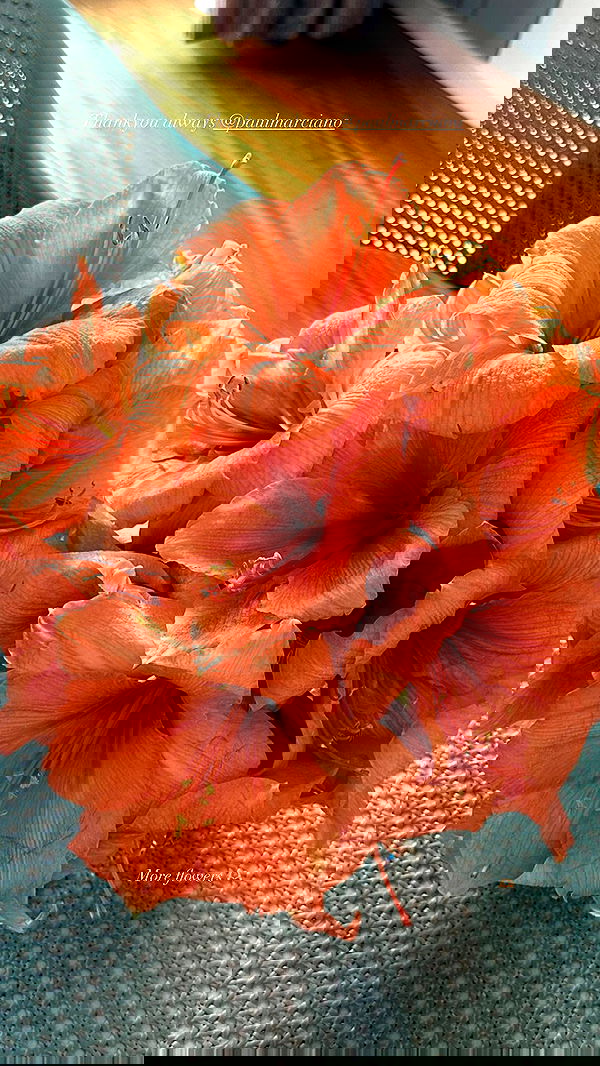 victoriaturnerr image ~ Altpins