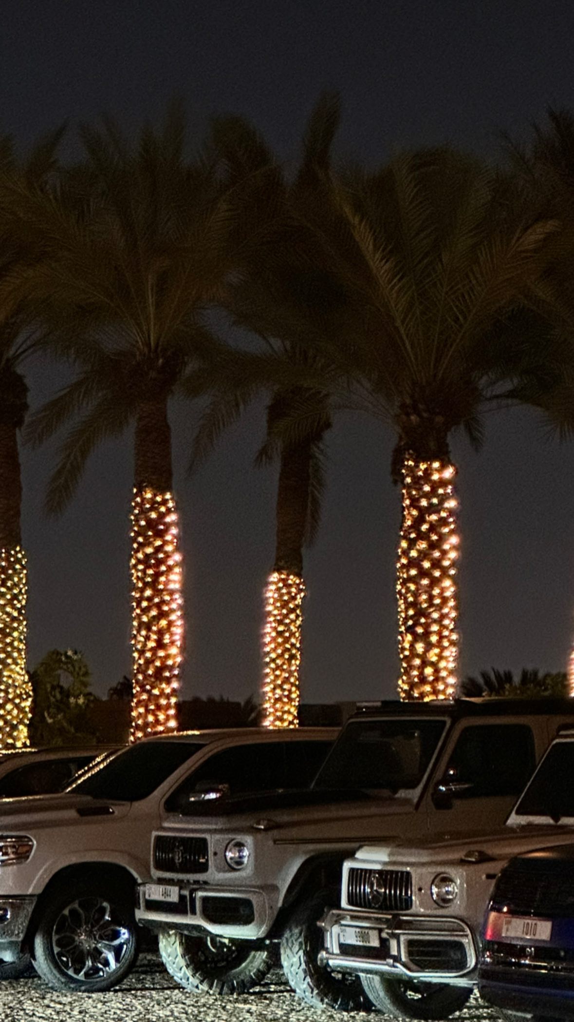 victoriaturnerr instagram image archive image