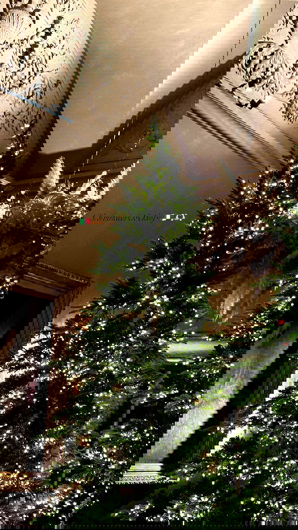 victoriaturnerr image ~ Altpins