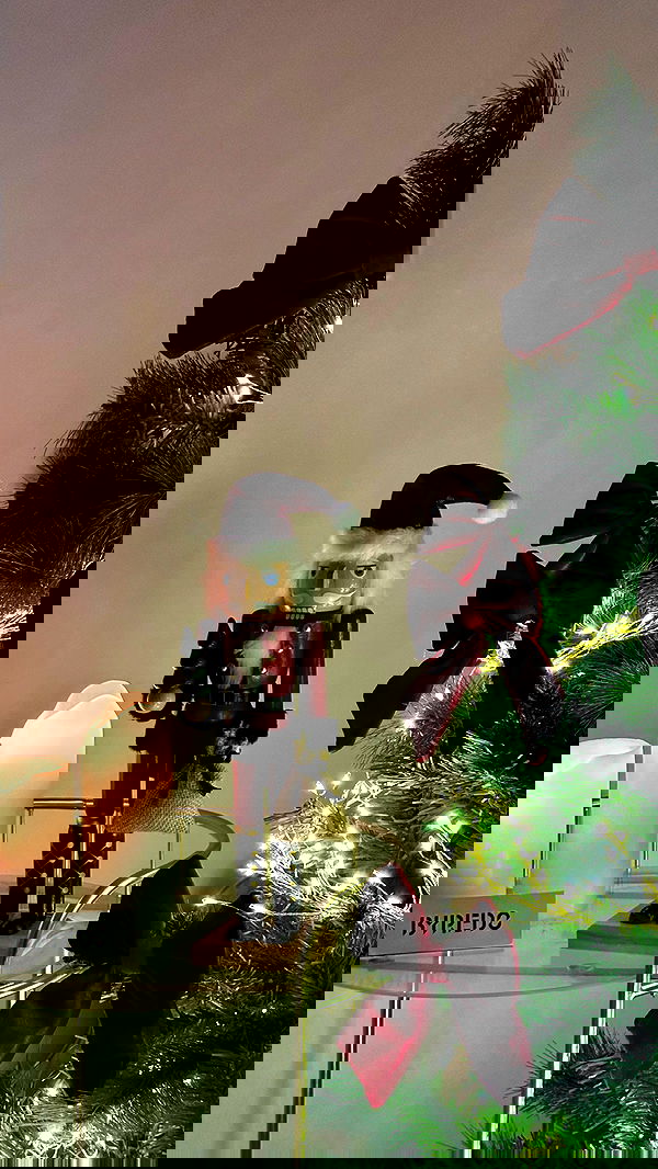 victoriaturnerr image ~ Altpins