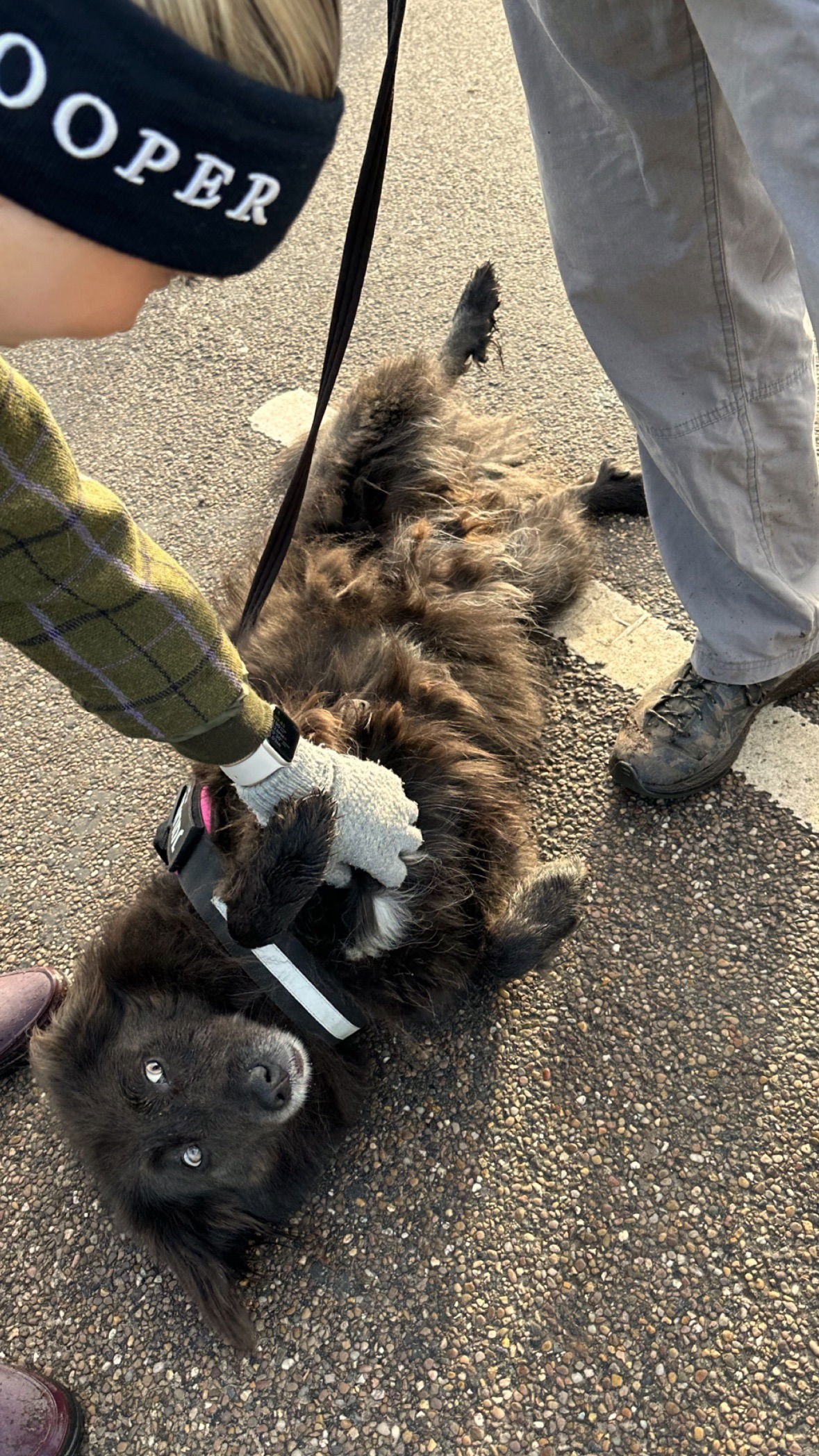 victoriaturnerr instagram image archive image