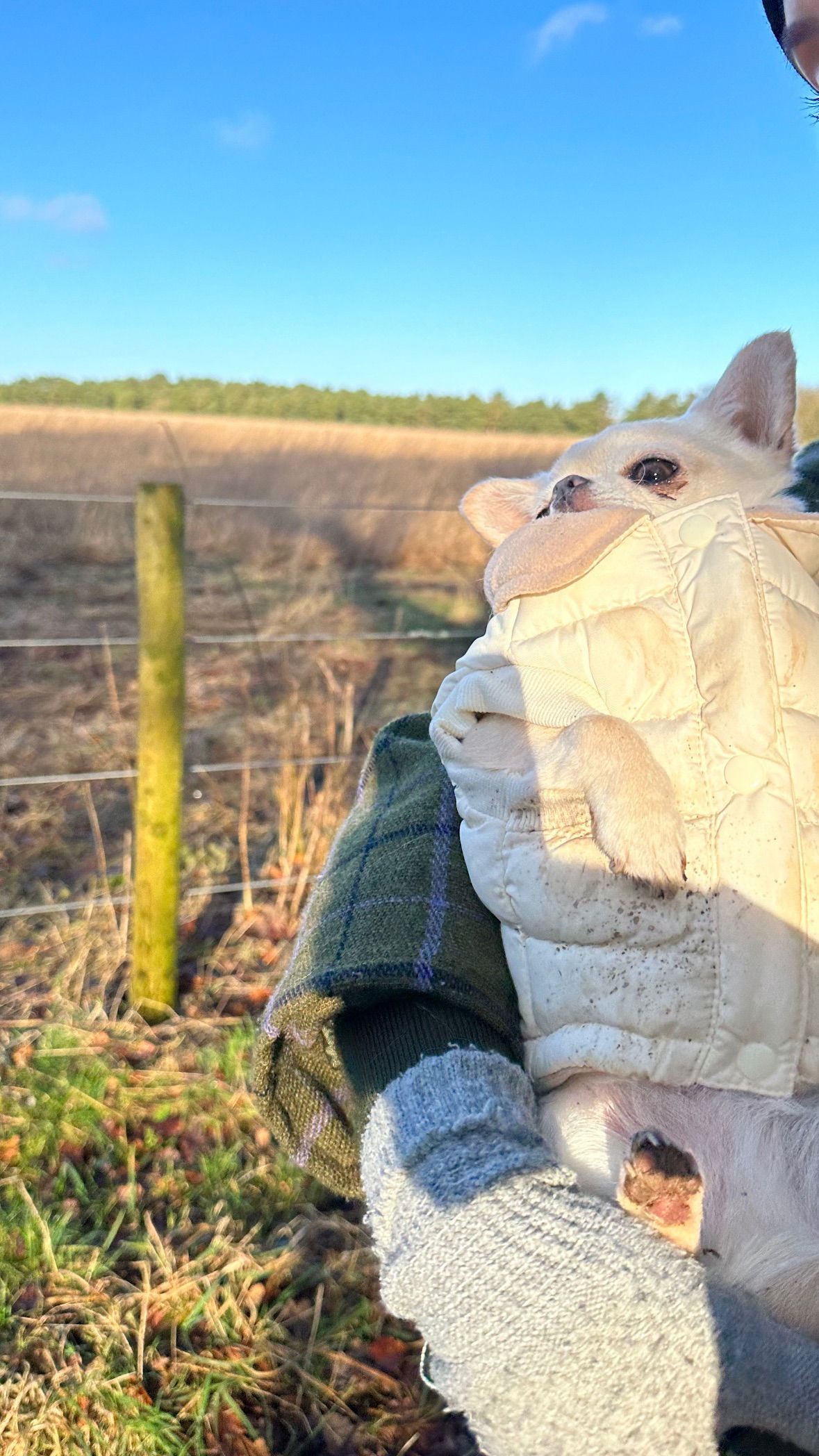 victoriaturnerr instagram image archive image