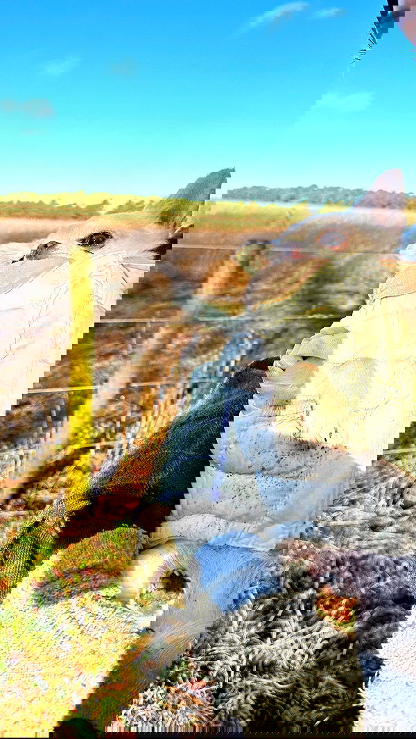 victoriaturnerr image ~ Altpins