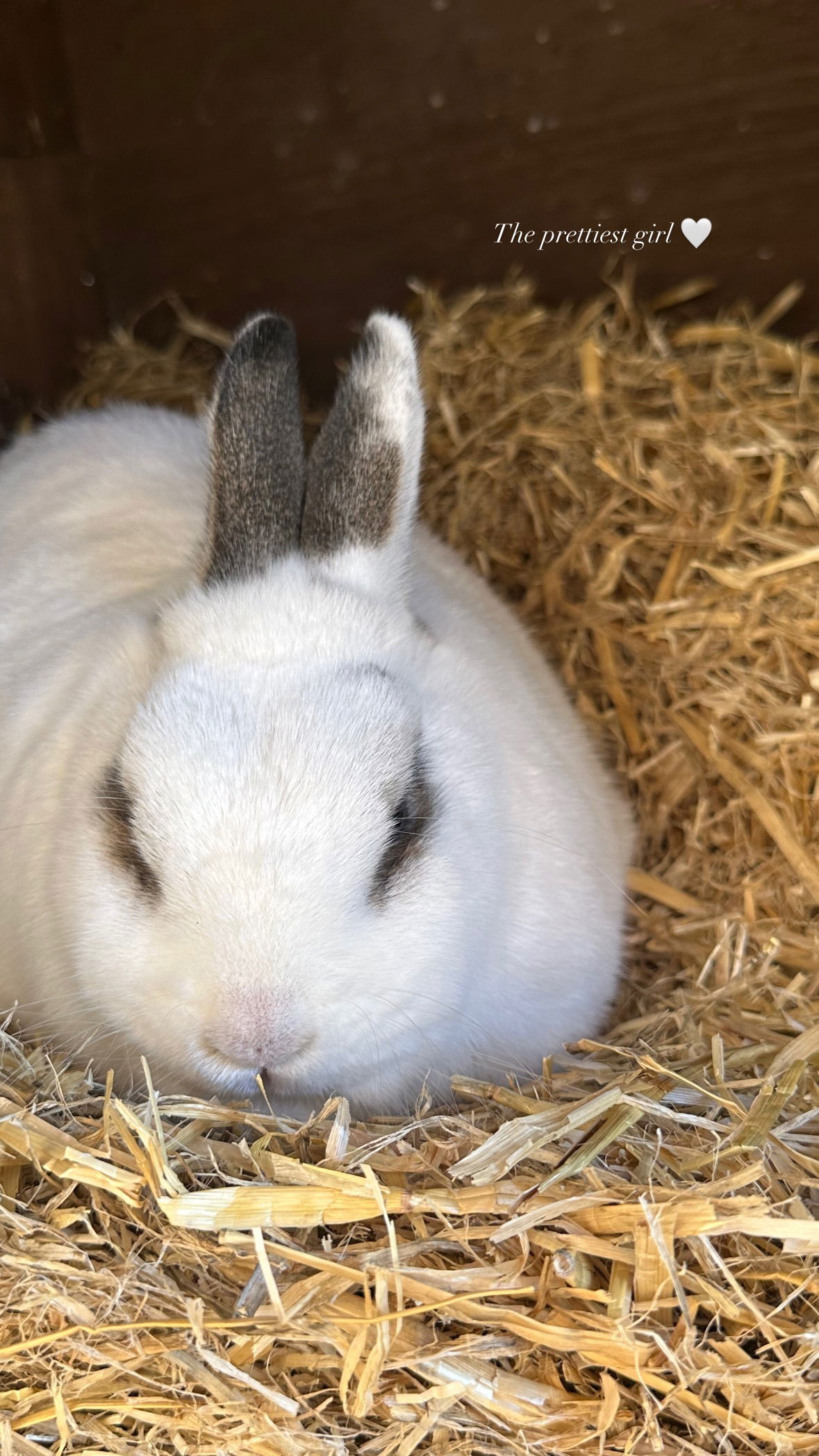 victoriaturnerr instagram image archive image