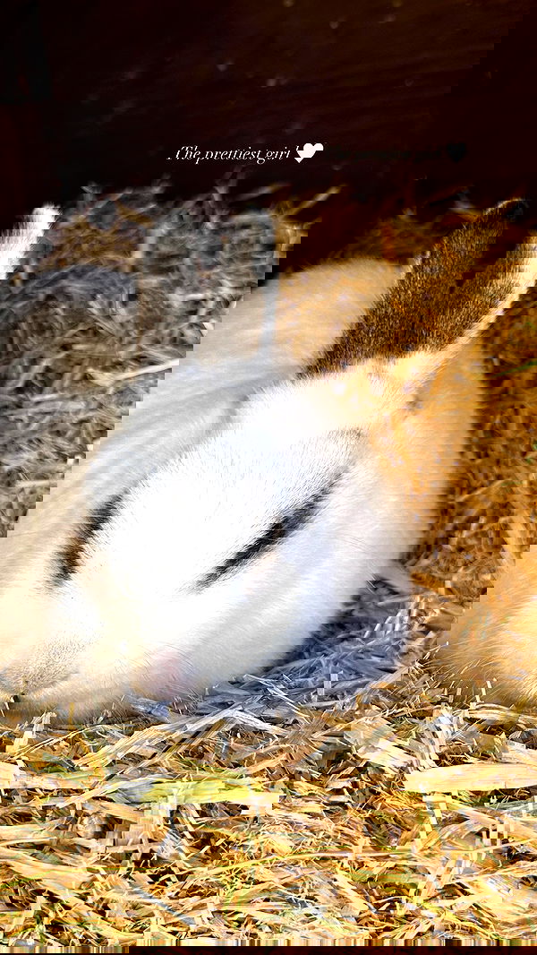 victoriaturnerr image ~ Altpins