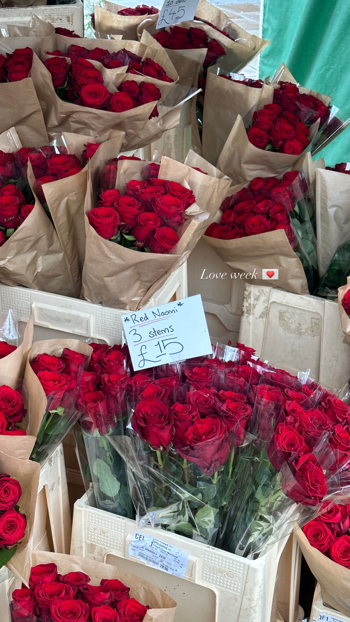 victoriaturnerr instagram image archive image