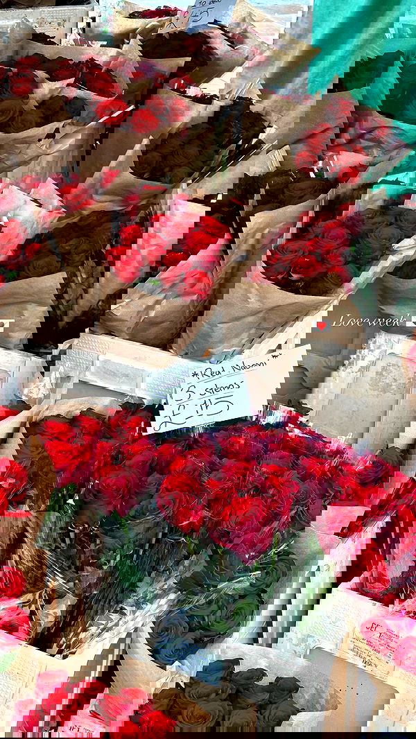 victoriaturnerr image ~ Altpins