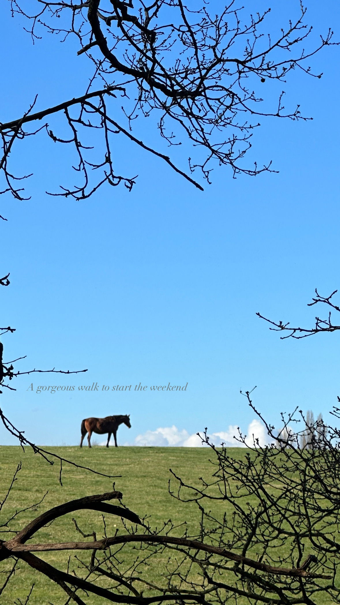 victoriaturnerr instagram image archive image