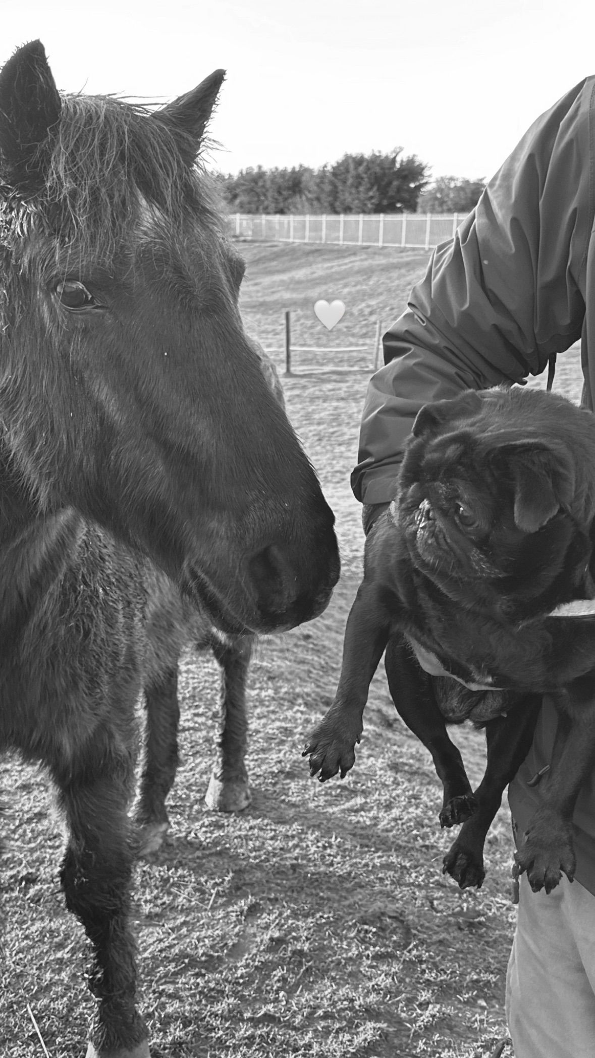 victoriaturnerr instagram image archive image