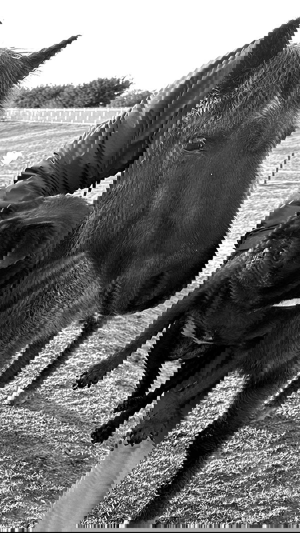 victoriaturnerr image ~ Altpins