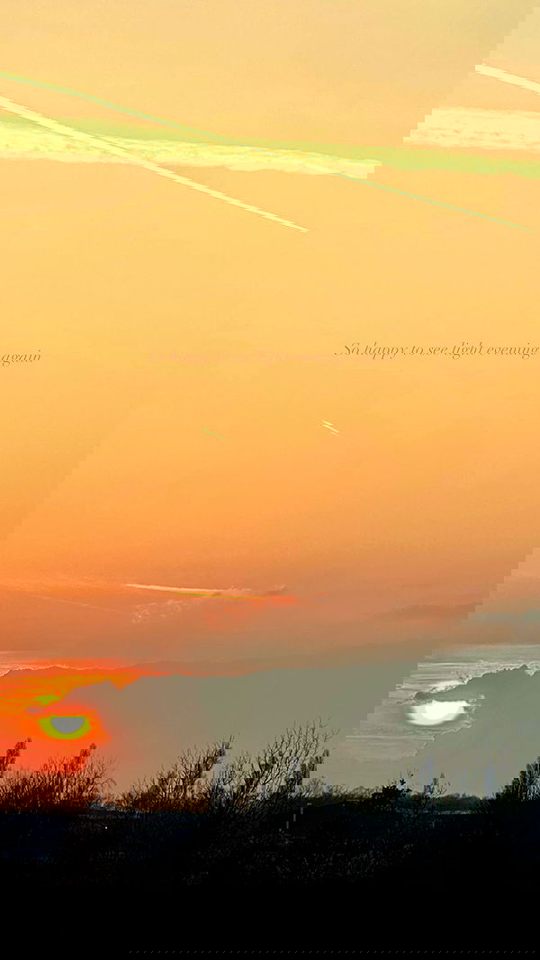 victoriaturnerr image ~ Altpins