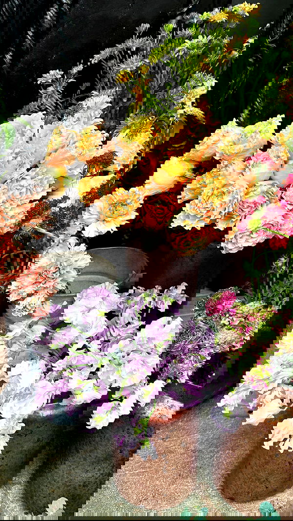 victoriaturnerr image ~ Altpins