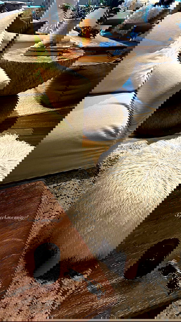 victoriaturnerr image ~ Altpins