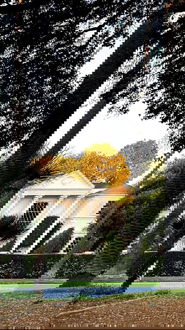 victoriaturnerr image ~ Altpins