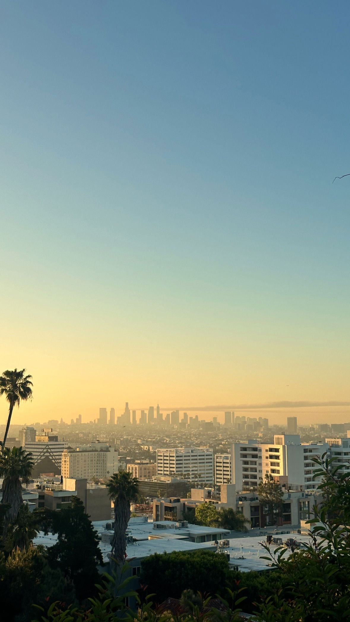 victoriaturnerr instagram image archive image