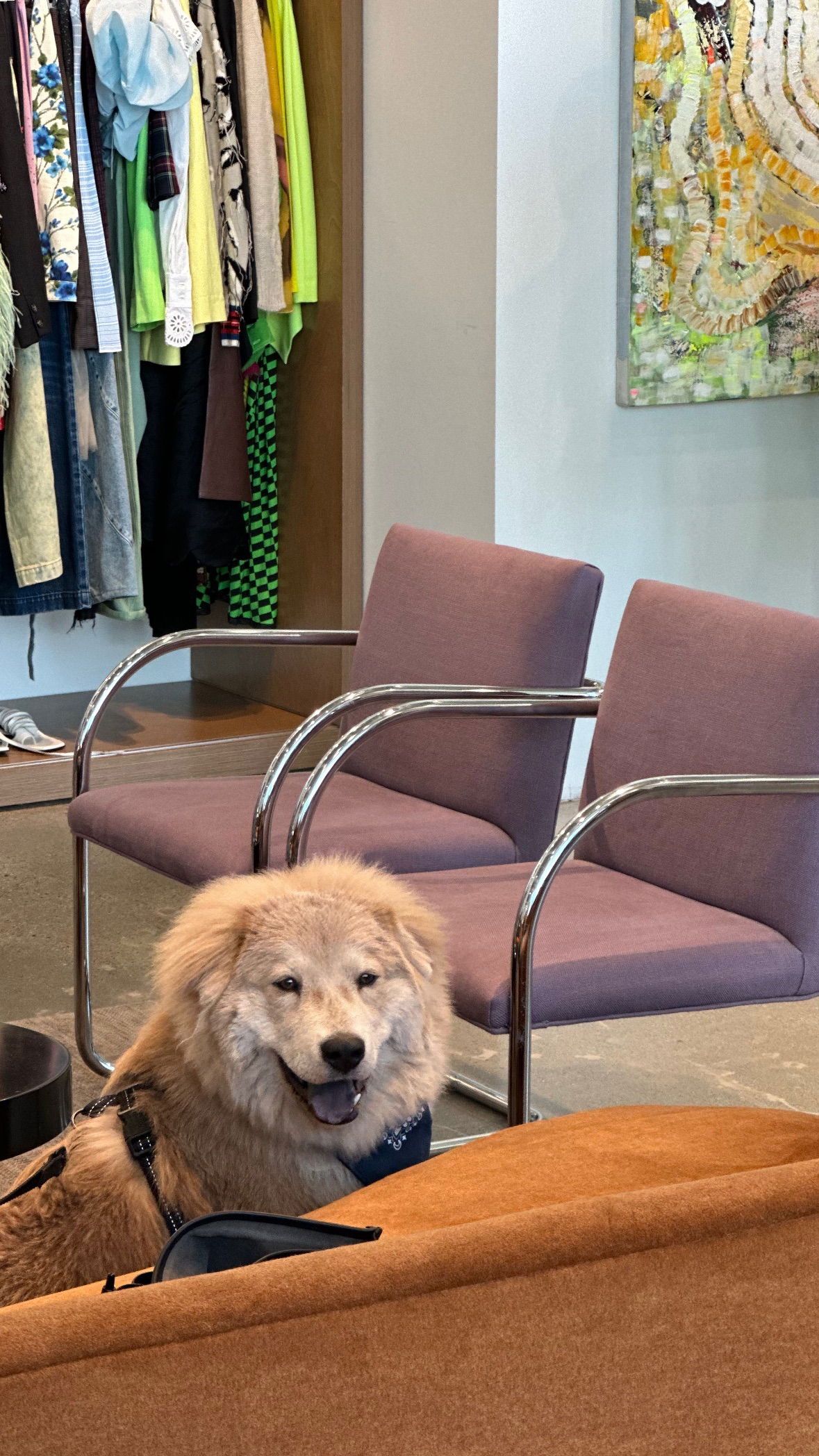 victoriaturnerr instagram image archive image