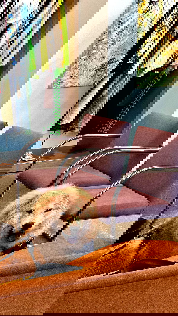 victoriaturnerr image ~ Altpins