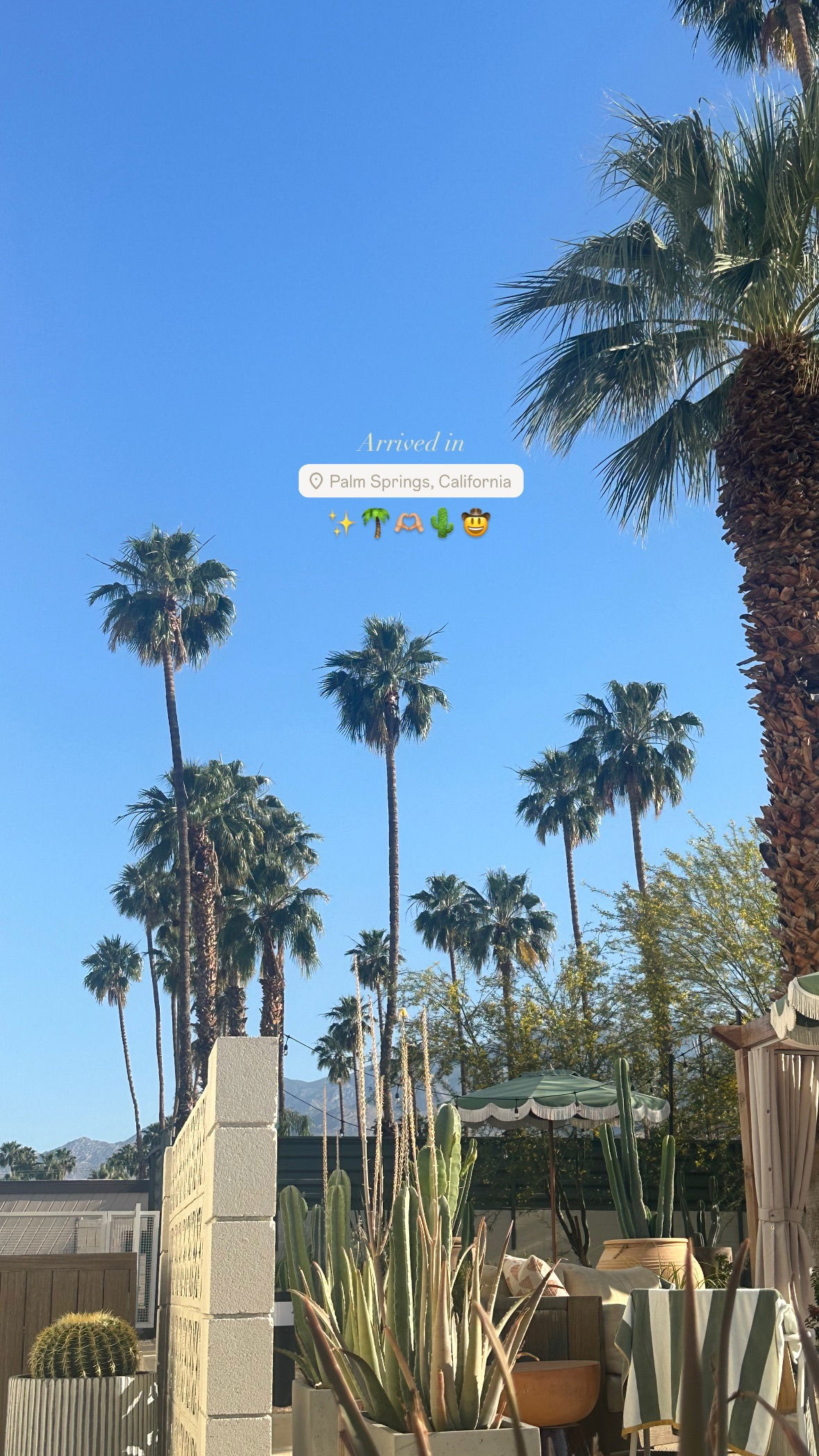 victoriaturnerr instagram image archive image