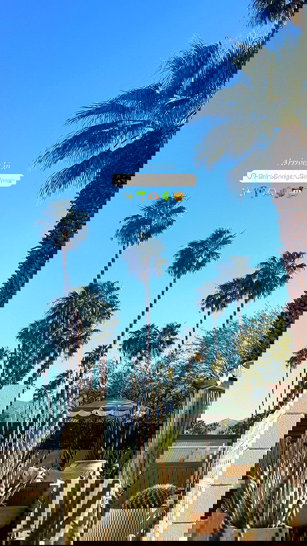 victoriaturnerr image ~ Altpins