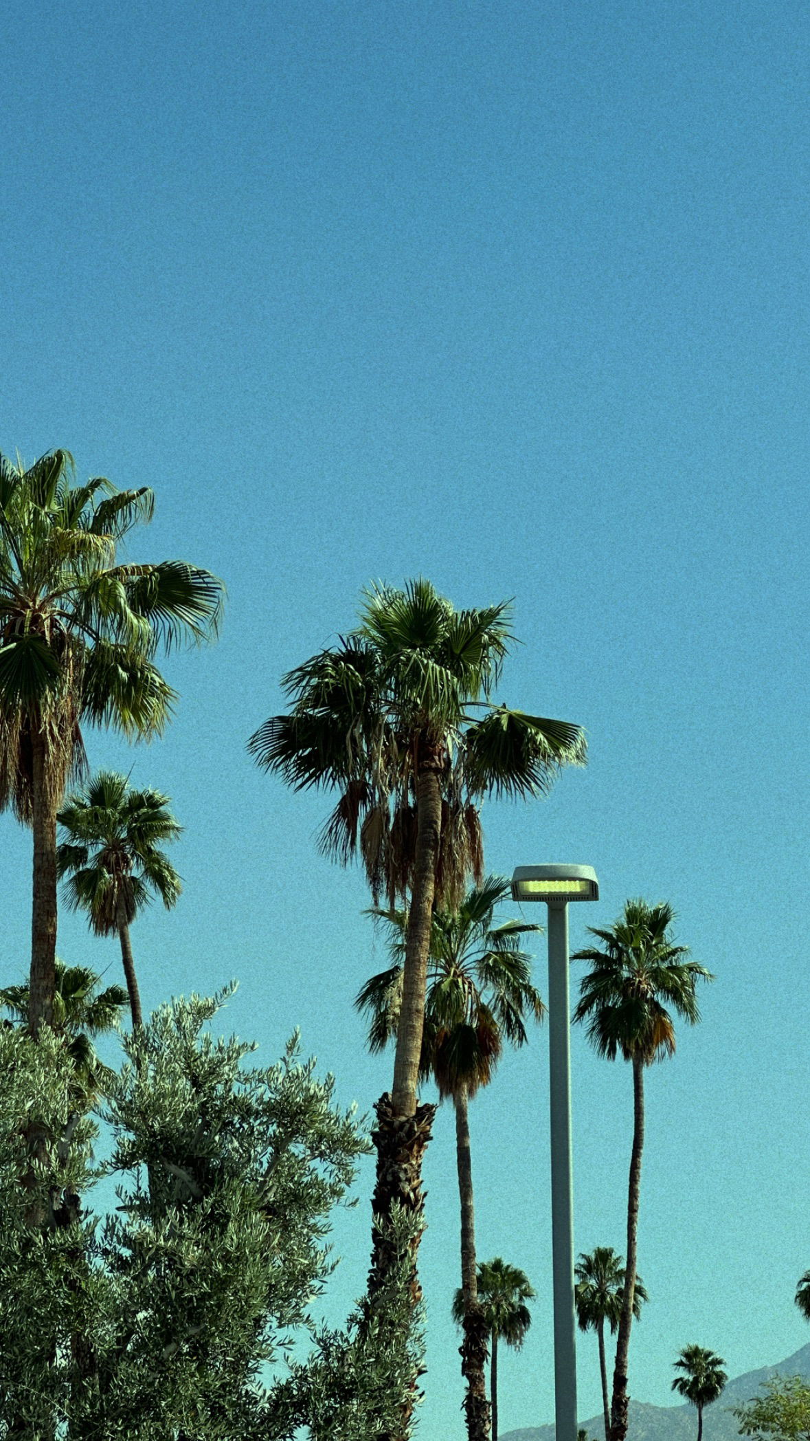 victoriaturnerr instagram image archive image