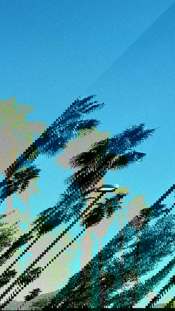 victoriaturnerr image ~ Altpins