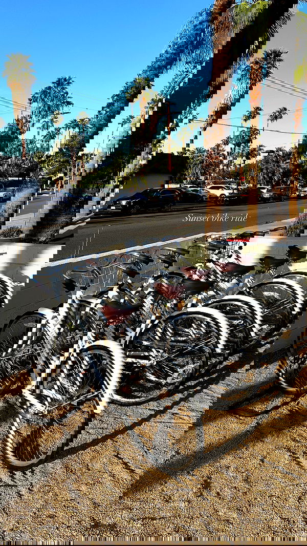 victoriaturnerr image ~ Altpins