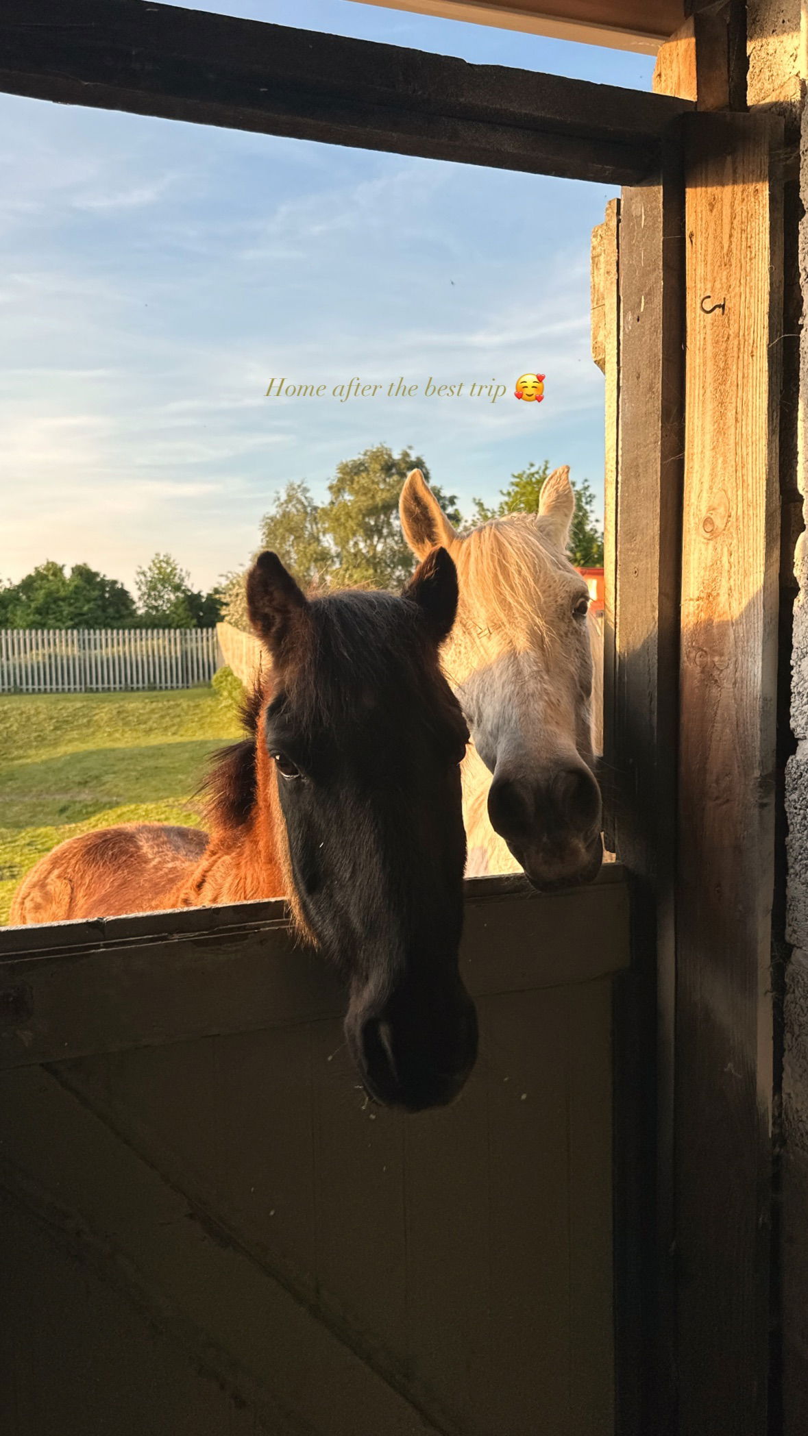 victoriaturnerr instagram image archive image